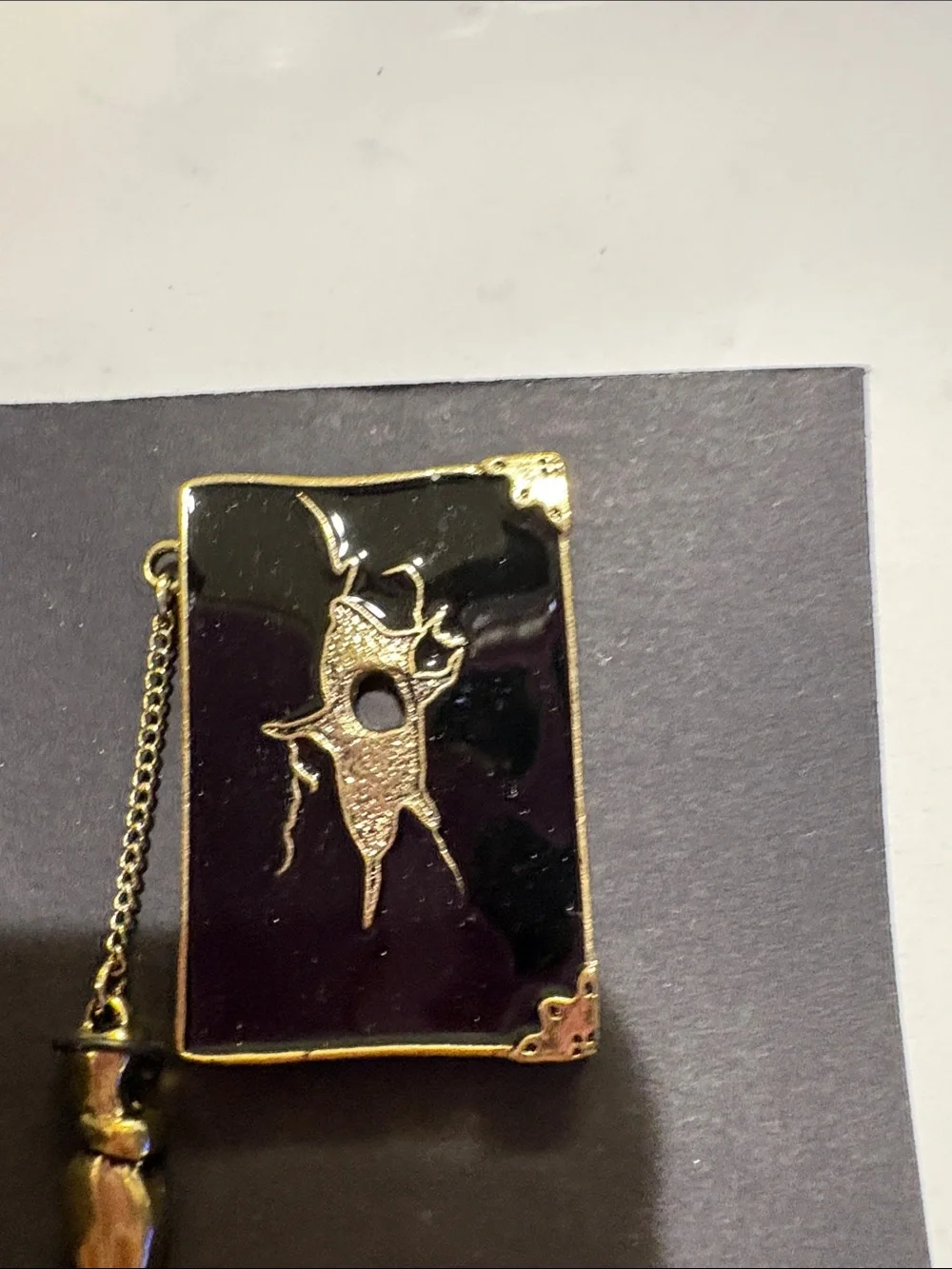 Warner Bros. Black and Gold Harry Potter Pin